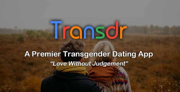 Screenshot of Transdr's landing page Screenshot of Transdr's landing page