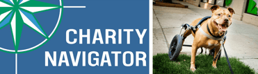 Collage of Charity Navigator logo and Red