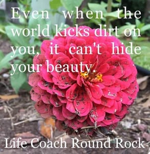 A picture of a flower and inspirational quote A picture of a flower and inspirational quote