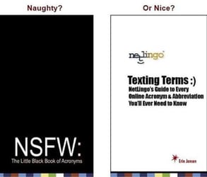 The covers of NSFW and Texting Terms