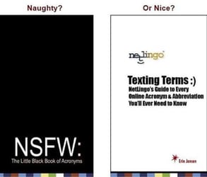 The covers of NSFW and Texting Terms The covers of NSFW and Texting Terms