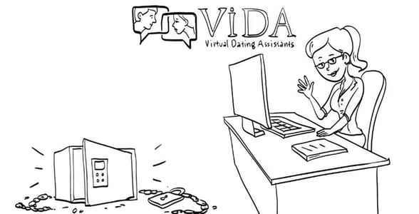 Screenshot from VIDA's website