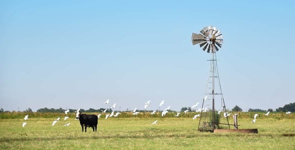 Photo of Vernon, Texas Photo of Vernon, Texas