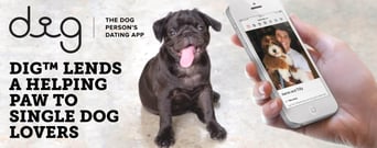 The Dig™ Dating App Lends a Helping Paw to Dog Lovers on the Hunt for a Compatible Date