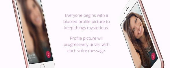 Screenshot of a photo reveal on Unveil website Screenshot of a photo reveal on Unveil website