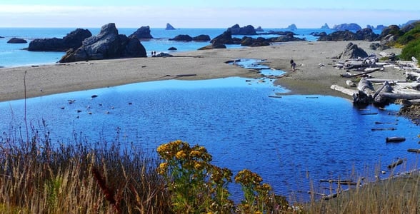 Photo of sea stacks near Brookings, Oregon Photo of sea stacks near Brookings, Oregon