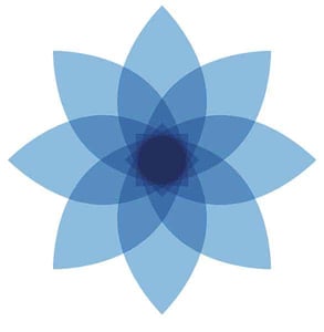 The Moment logo The Moment logo