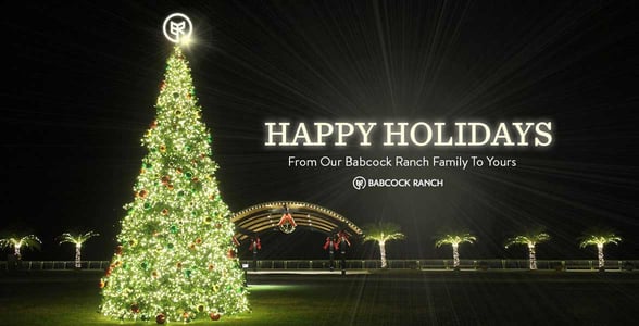 Photo of Babcock Ranch's holiday tree Photo of Babcock Ranch's holiday tree