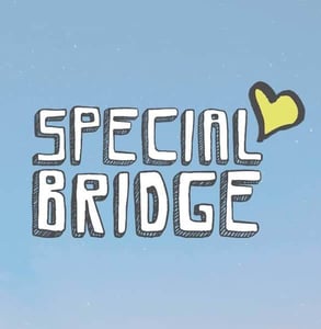 The Special Bridge logo The Special Bridge logo