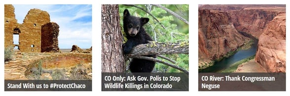 Screenshot of WildEarth Guardians ways to get involved Screenshot of WildEarth Guardians ways to get involved