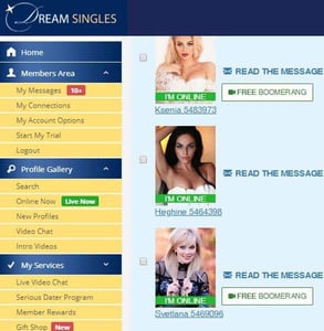 Screenshot of Dream Singles