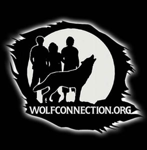The Wolf Connection logo The Wolf Connection logo