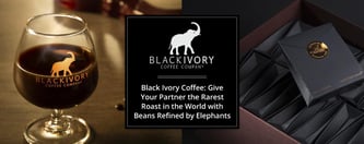 Black Ivory Coffee: Give Your Partner the Rarest Roast