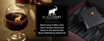 Black Ivory Coffee: Give Your Partner the Rarest Roast in the World with Beans Refined by Elephants