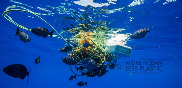 Photo of floating plastic in the ocean