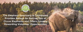 The Elephant Sanctuary Offers Couples Volunteer Opportunities