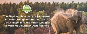 The Elephant Sanctuary in Tennessee Provides Refuge for Retired Zoo or Circus Elephants and Offers Couples Rewarding Volunteer Opportunities