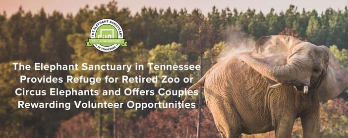 The Elephant Sanctuary Offers Couples Volunteer Opportunities