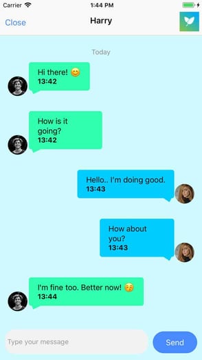 Screenshot from Veggly app chat