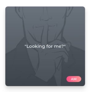 An Ashley Madison profile An Ashley Madison profile