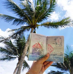 Photo of Lola's passport Photo of Lola's passport