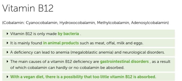 Screenshot of ProVegan Foundation Screenshot of ProVegan Foundation
