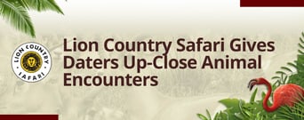 Lion Country Safari is a Wild Place to Take a Date &#038; Have Up-Close Animal Encounters