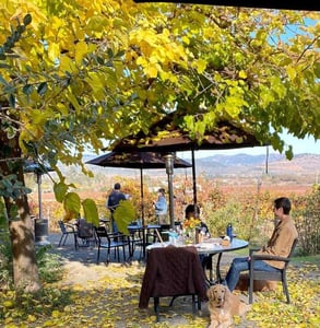 Photo of the winery Photo of the winery
