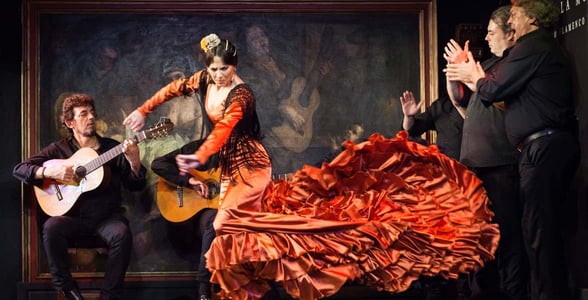 Photo of a flamenco dancer
