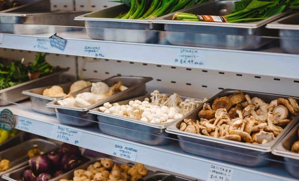 Photo of products at Precycle