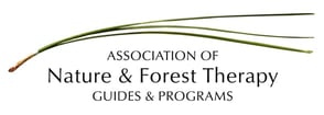 The Association of Nature & Forest Therapy logo The Association of Nature & Forest Therapy logo