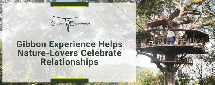 Gibbon Experience Helps Nature Lovers Celebrate Relationships
