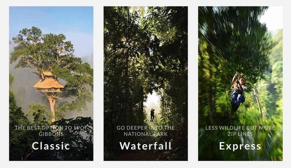 Screenshot from The Gibbon Experience website
