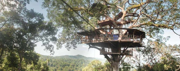 Screenshot of The Gibbon Experience treehouse Screenshot of The Gibbon Experience treehouse