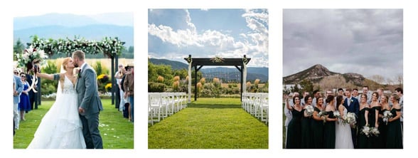 Photo of the Mountain View Lawn Photo of the Mountain View Lawn