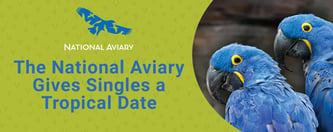  The National Aviary Gives Singles a Tropical Date