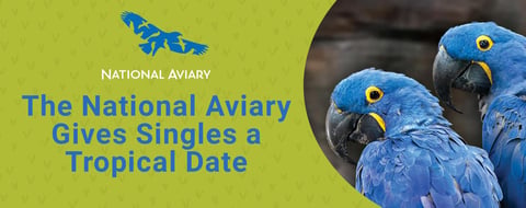 Escape to Pittsburgh for a Tropical Date Experience at The National Aviary Escape to Pittsburgh for a Tropical Date Experience at The National Aviary