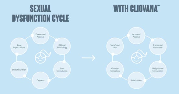 Screenshot from Cliovana website