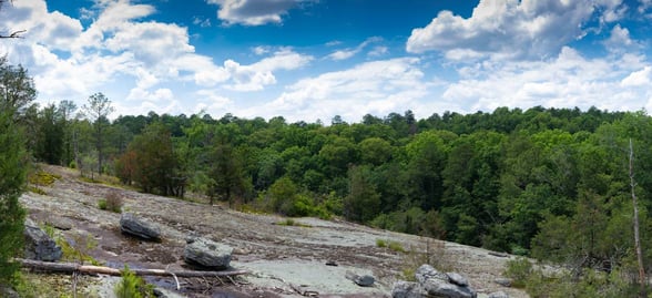 Panola Mountain