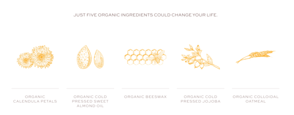 ingredient graphic ingredient graphic