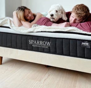 woman, man, and dog relax on a bed woman, man, and dog relax on a bed