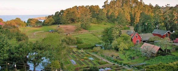 hotel grounds including garden and barn hotel grounds including garden and barn