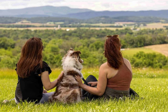couple enjoying the harrisonburg mountain views