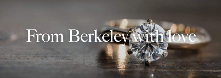 Screenshot from Berkeley International homepage Screenshot from Berkeley International homepage