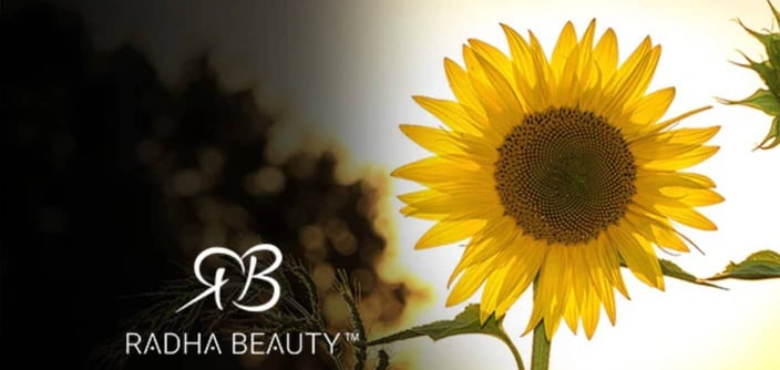 radha beauty sunflower radha beauty sunflower