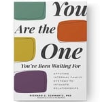 you are the one you've been looking for book you are the one you've been looking for book
