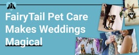 FairyTail Pet Care Makes Weddings Magical