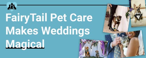 FairyTail Pet Care Helps Couples Celebrate With Furry Family Members On Their Wedding Days FairyTail Pet Care Helps Couples Celebrate With Furry Family Members On Their Wedding Days