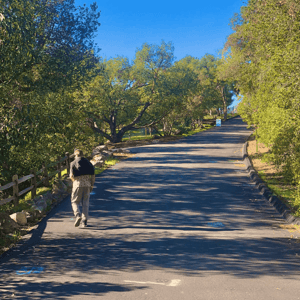 Peaceful, mindful walk in Santa Barbara