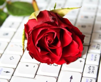 Rose on computer keyboard